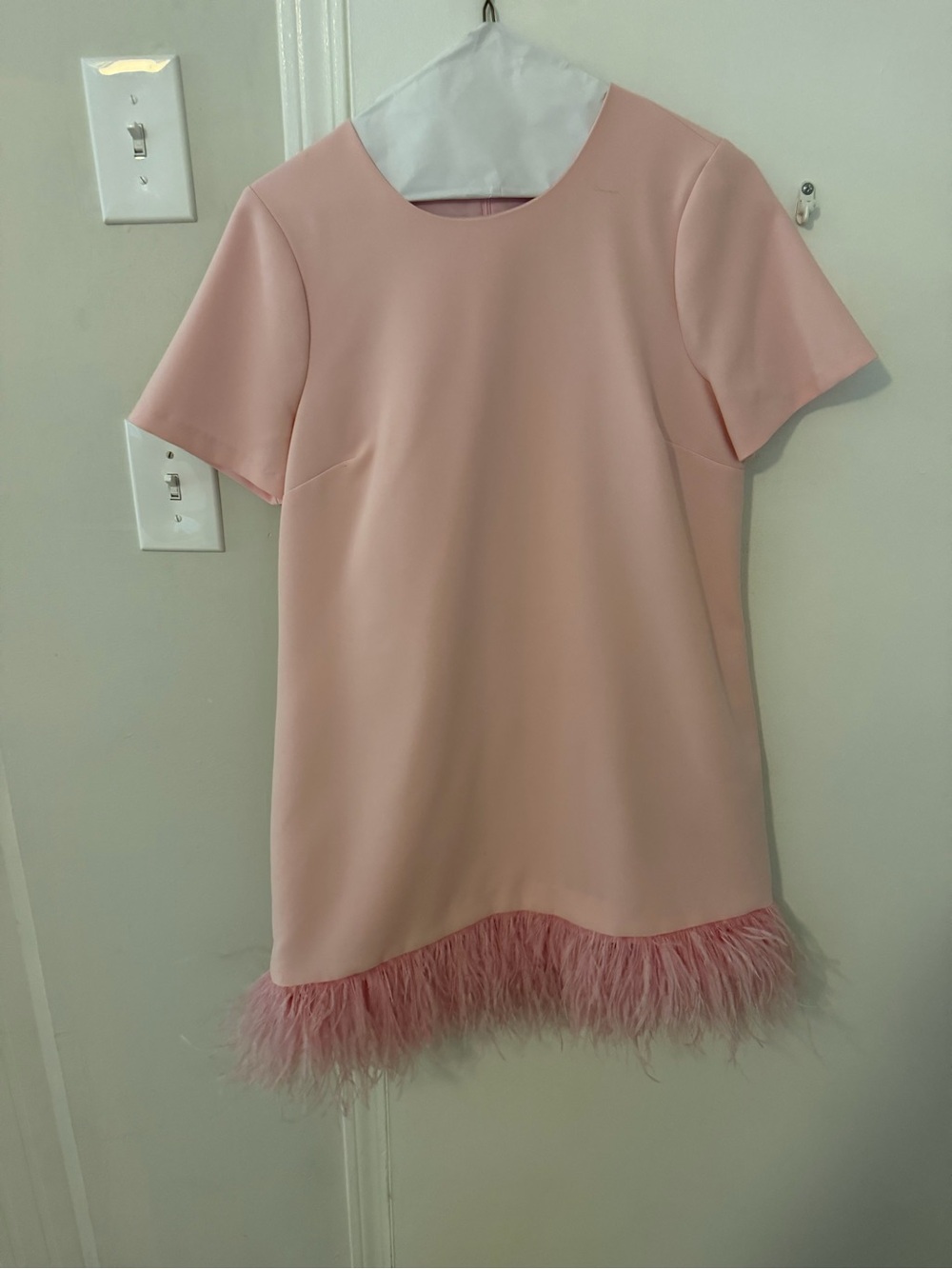 Likely Pale Pink Feather-Hem Short Sleeve Formal Dress